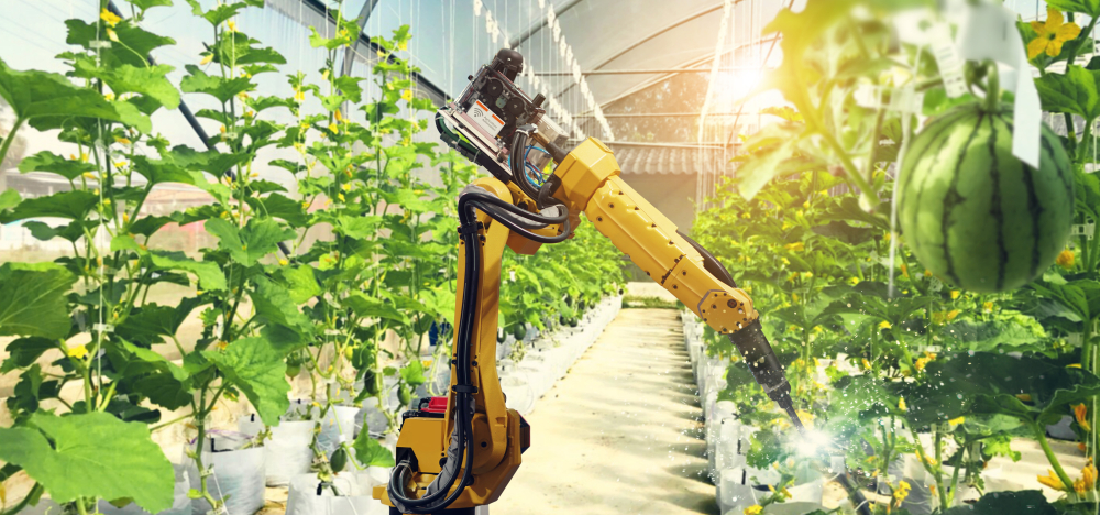 Controlled Environment Agriculture: A Fertile Landscape for Robot Suppliers