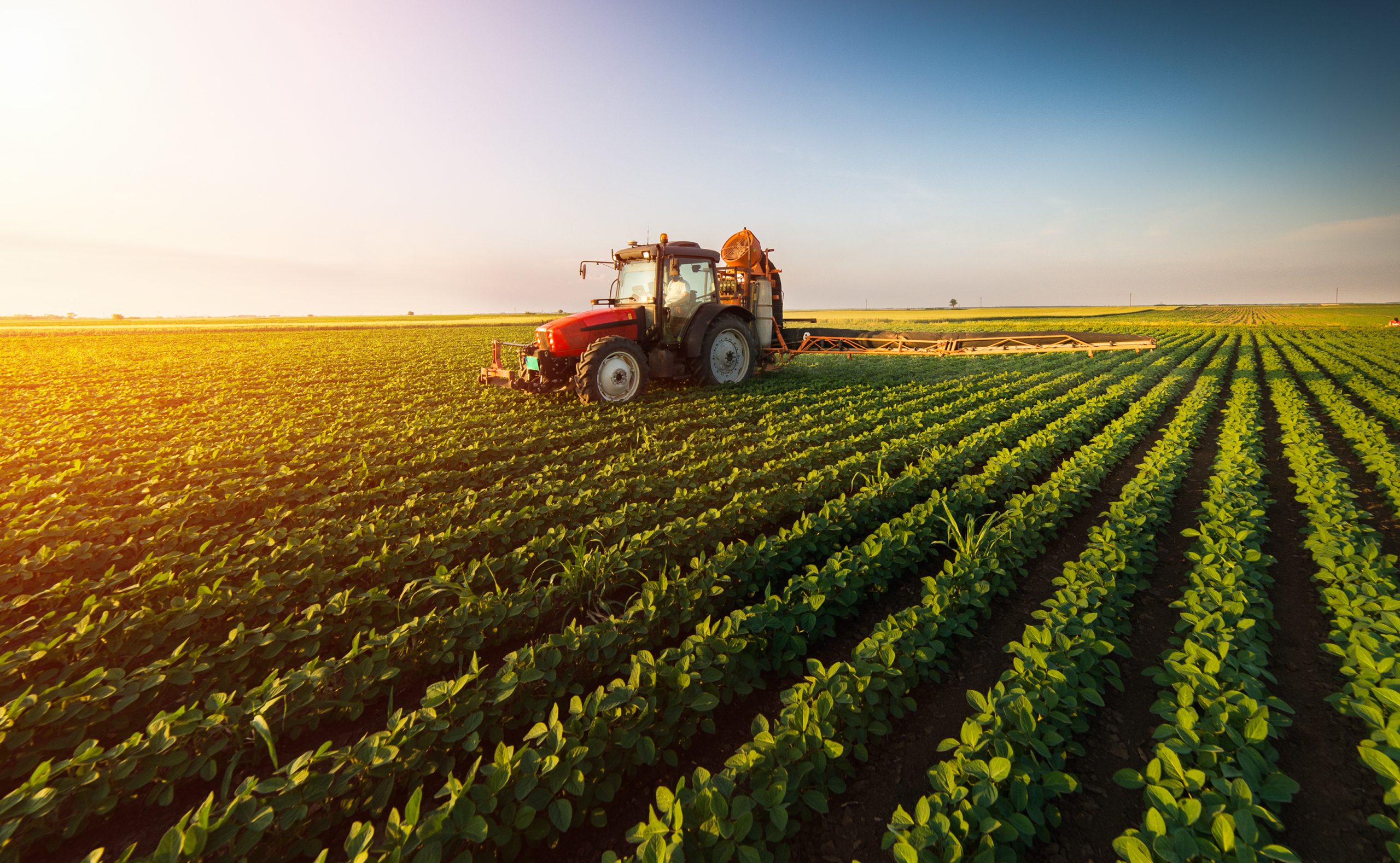 tractor in a field